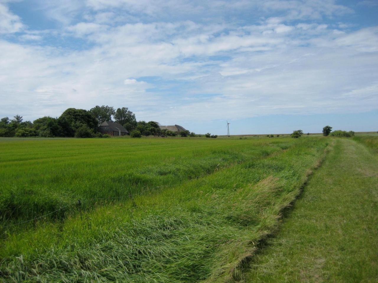I Hjertet Af Ballum Exterior photo